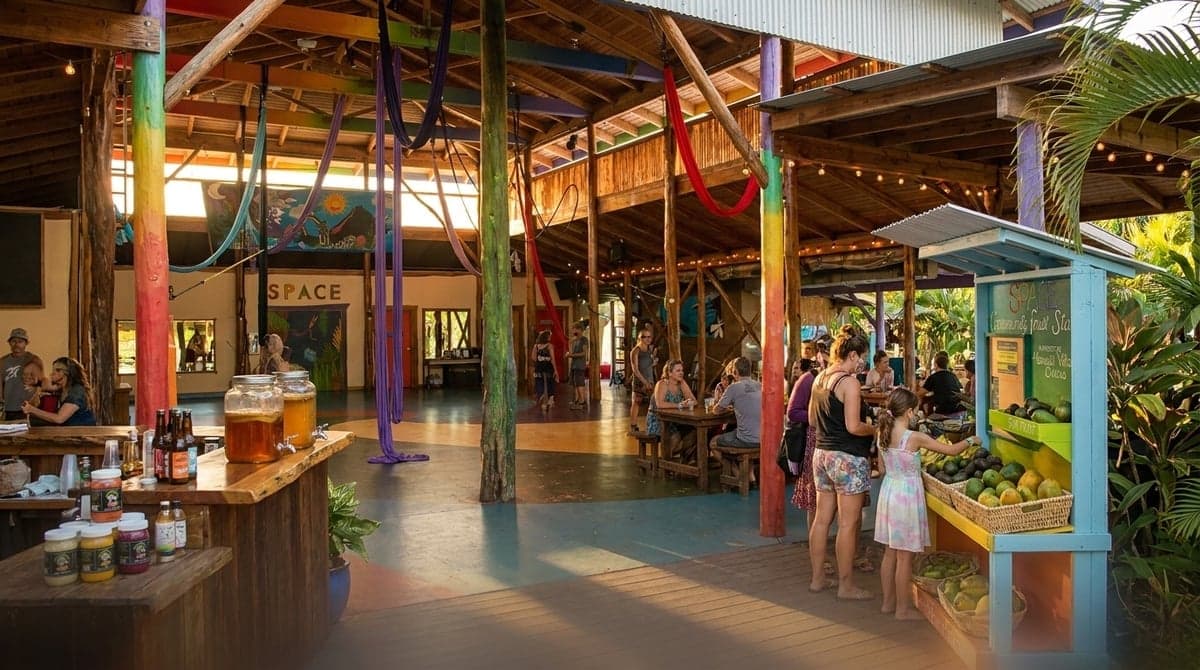 Events Today: 17 Can’t‑Miss Happenings on Hawaiʻi Island